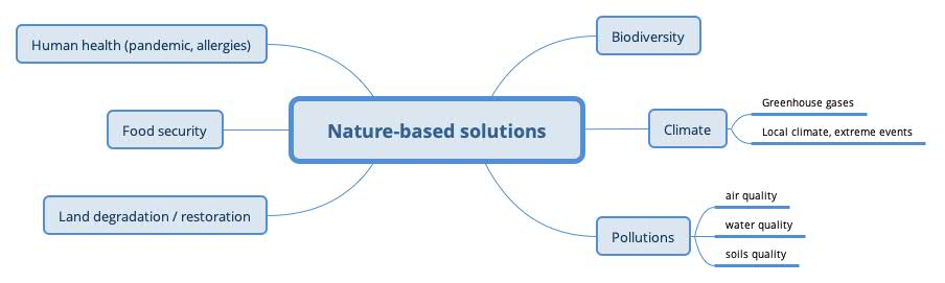 nature-based-solutions